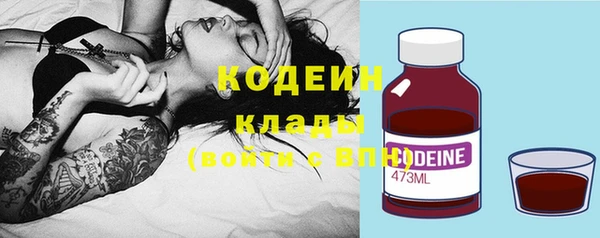 шишки Аркадак