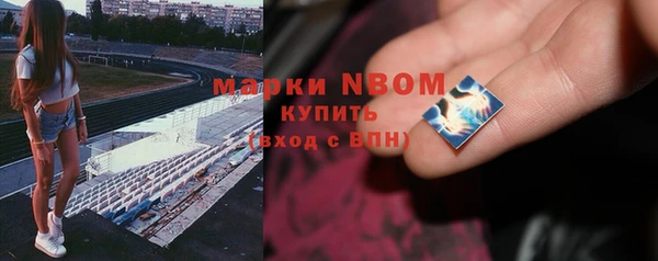 шишки Аркадак