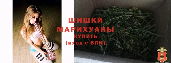 шишки Аркадак