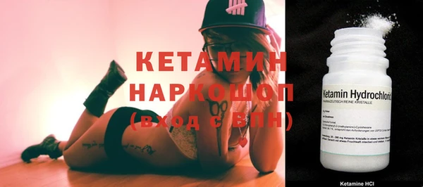 шишки Аркадак