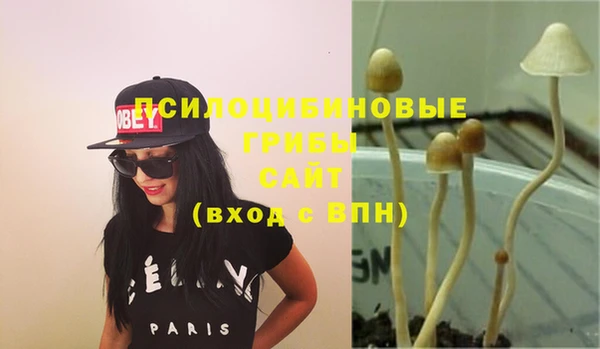 не бодяженный Балахна