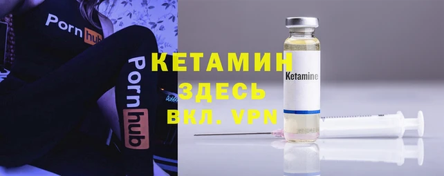 шишки Аркадак