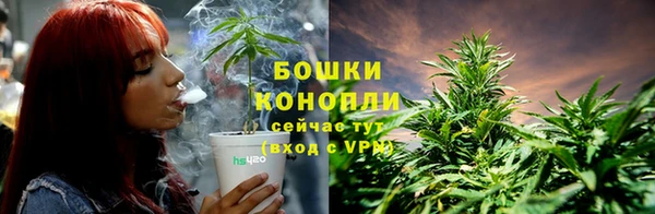 шишки Аркадак