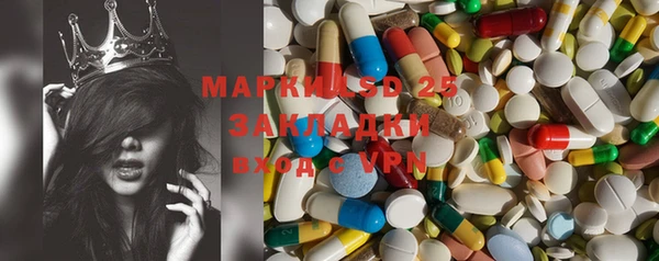 шишки Аркадак