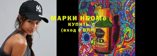 шишки Аркадак